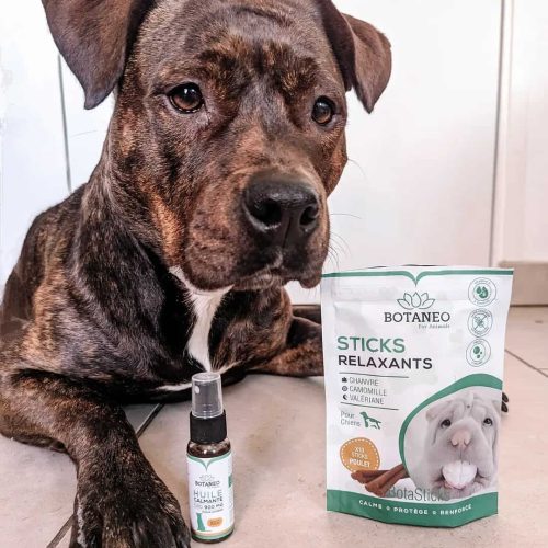 botaneo-cbd-animaux2 Botaneo CBD animaux