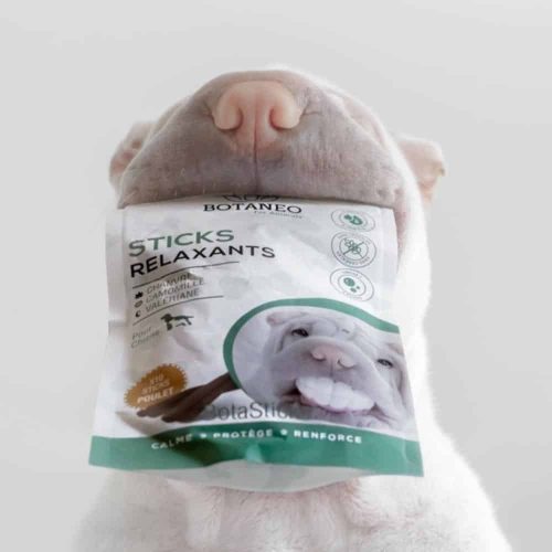 botaneo-cbd-animaux4 Botaneo CBD chien