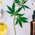 Quel CBD choisir en 2023 ?